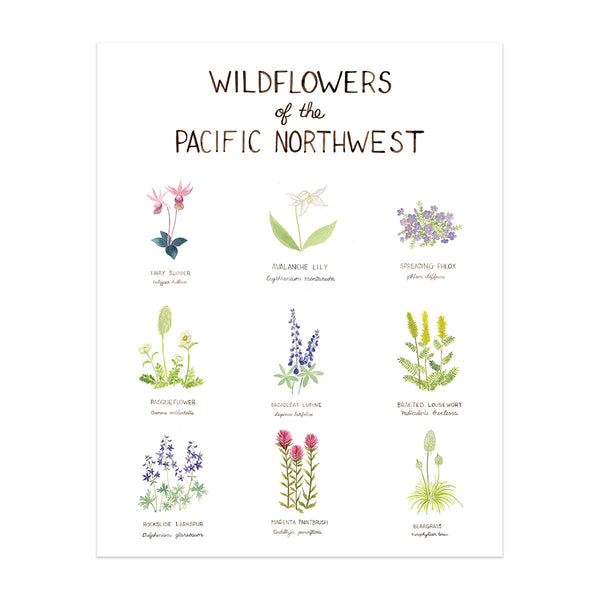 Pacific Northwest Wildflowers Art Print, Watercolor Art