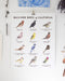 Backyard Birds of California Art Print featuring watercolor illustrations of various birds with their names, designed for bird watchers and nature enthusiasts. Frame not included.