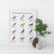 Backyard Birds of the East Coast Art Print featuring watercolor illustrations of birds with names, alongside a pine cone and plant in a jar. Frame not included.