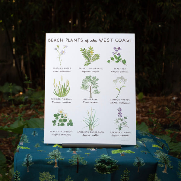 beachside plants Beach Plants of the West Coast Art Print
