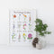 Cottage Garden Art Print featuring watercolor botanical illustrations of flowers, candle, pinecone, and plant in a jar, unframed.