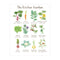 Kitchen Garden Art Print featuring watercolor illustrations of various vegetables, like cauliflower and onion, capturing edible gardening themes by Seattle artist Brigida Swanson.
