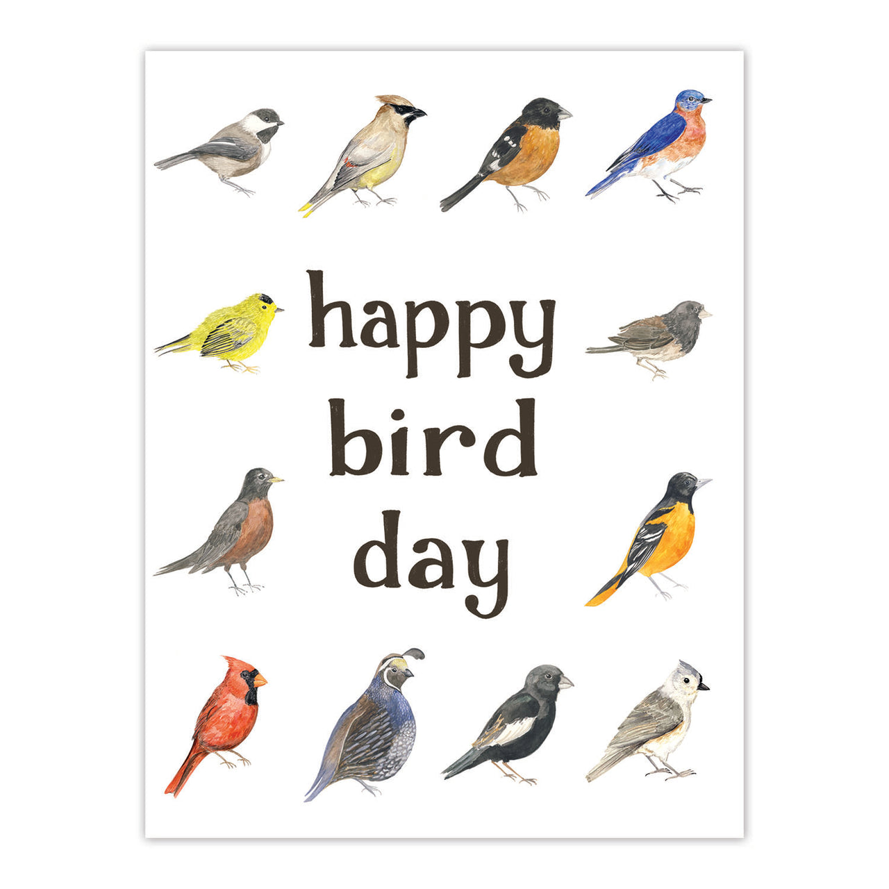 Happy Bird Day - Birding Birthday Card displaying watercolor birds and playful puns, ideal for wildlife lovers, made from recycled paper with a blank interior and kraft envelope.