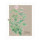 Oregano Card - Botanical Everyday Card featuring a detailed watercolor illustration of an oregano plant, perfect for personalized messages on 100% recycled paper.