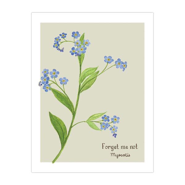 Forget Me Not Card - Botanical Everyday Card – Yardia