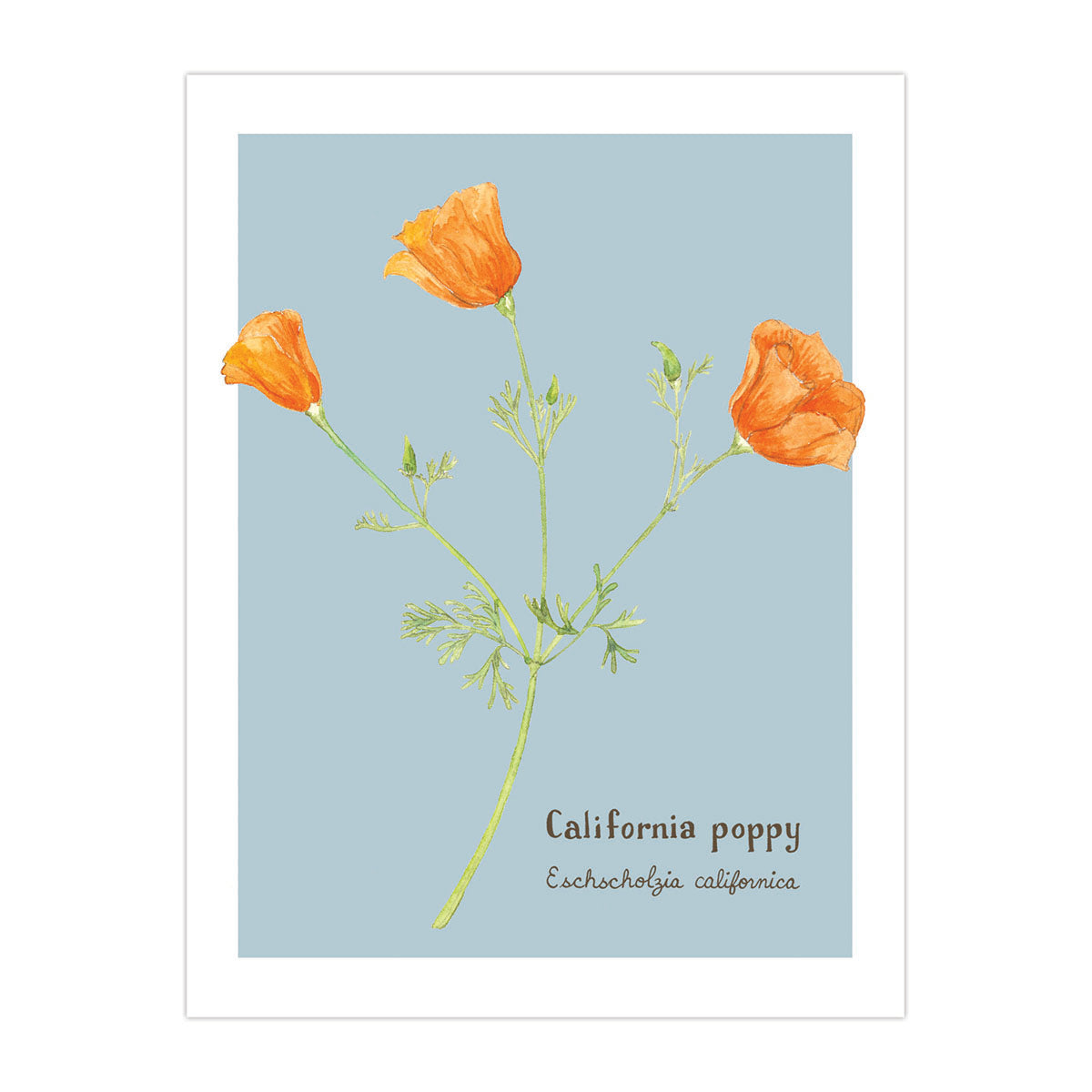 California Poppy Card featuring a close-up watercolor illustration of an orange poppy, with hand-lettered names, designed for any occasion.