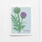 Artichoke Card featuring a watercolor artichoke illustration with common and Latin names, blank inside for personalization. Perfect for nature enthusiasts and stationery lovers.