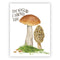 Mushroom Love Card featuring two mushrooms and the text I'm so glad I found you on recycled paper, ideal for Valentine's or anniversaries.