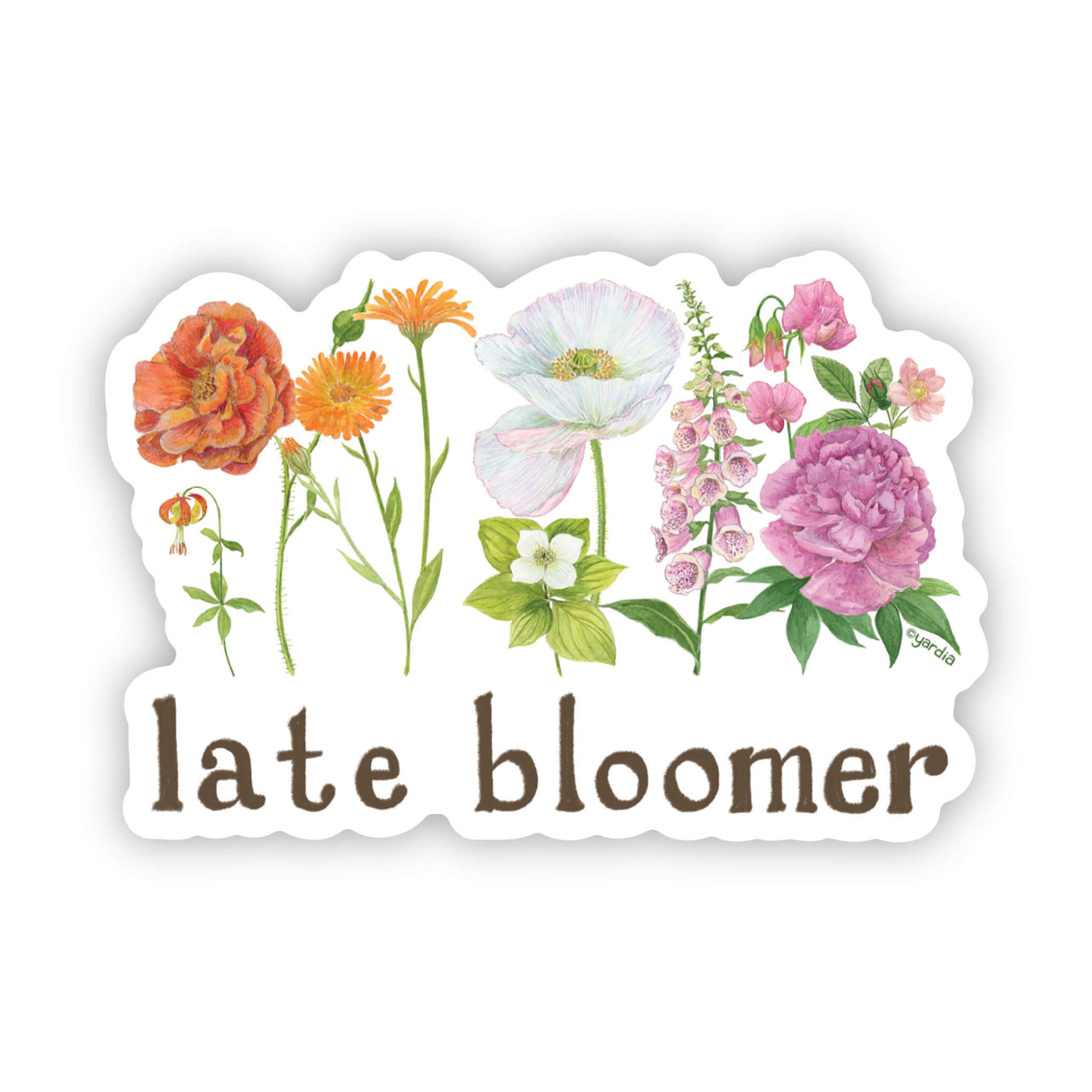 Late Bloomer Sticker featuring watercolor floral design and subtle lesbian pride flag, perfect for personalizing laptops and water bottles.