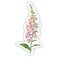 Foxglove Sticker - Watercolor Floral Vinyl Sticker, featuring a detailed pink foxglove flower illustration, perfect for decorating laptops or water bottles.