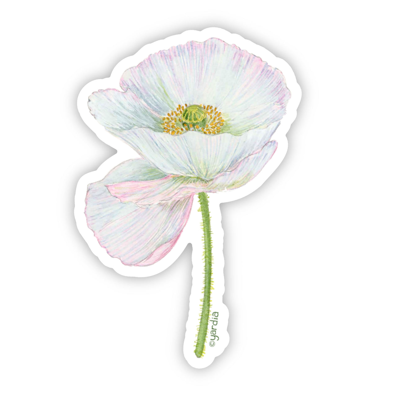 White Poppy Sticker: A detailed watercolor vinyl sticker featuring a white poppy flower with a yellow center, perfect for adorning laptops or water bottles.