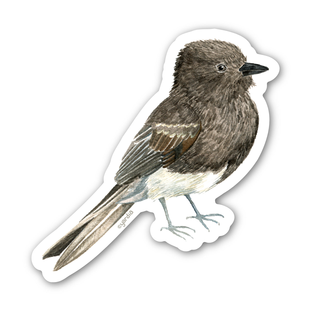 Black Phoebe Bird Sticker features a detailed watercolor design, perfect for customizing items. Made from sturdy vinyl, ideal for bird enthusiasts and nature lovers.