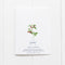 Thank You Berry Much Card featuring a watercolor illustration of raspberries and foliage, inspired by vintage seed packets, on recycled paper.
