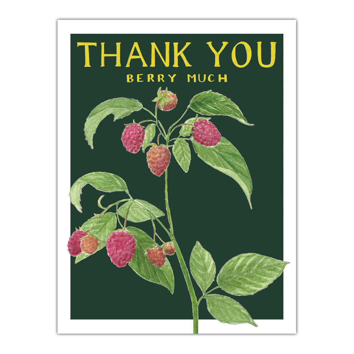Thank You Berry Much Card featuring a watercolor raspberry illustration, inspired by vintage seed packets, on recycled paper with a kraft envelope.
