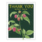 Thank You Berry Much Card featuring a watercolor raspberry illustration, inspired by vintage seed packets, on recycled paper with a kraft envelope.