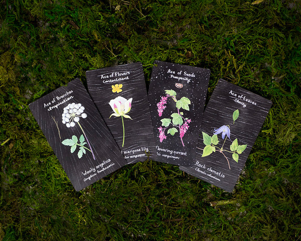 house plant tarot The Plant Companion Tarot Deck – Yardia