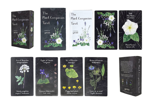 tarot-deck-5_grande.jpg?v=