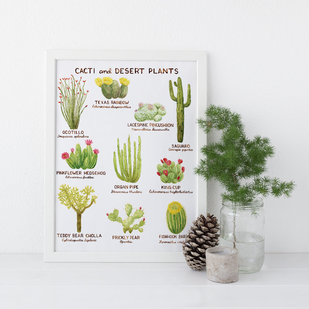 Cacti and Desert Plants Art Print featuring detailed watercolor illustrations of cactus and desert plants, perfect for home decor or gifting. Frame not included.