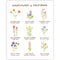 Wildflowers of California Art Print featuring watercolor illustrations and hand-lettered names of native flowers by Brigida Swanson. Museum quality, 11x14 inches, unframed.