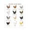 Backyard Chicken Breeds Art Print featuring watercolor illustrations of twelve popular chicken breeds, highlighting the artist's own flock. Ideal for any chicken enthusiast's decor.