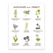 Wildflowers of the Midwest Art Print featuring watercolor illustrations of nine Midwest wildflowers with common and Latin names by artist Brigida Swanson. Frame not included.