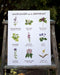 Wildflowers of the Northeast Art Print featuring watercolor illustrations of nine wildflowers with their names, on archival paper by artist Brigida Swanson. Frame not included.