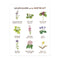 Wildflowers of the Northeast Art Print featuring watercolor illustrations of nine wildflowers with common and Latin names, created by artist Brigida Swanson. Frame not included.