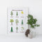 Trees of the Rockies Art Print depicted in a frame, featuring watercolor illustrations of nine native trees, accompanied by a pine cone and candle for natural ambiance.