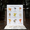 Mushrooms of California Art Print displayed on a wooden chair, featuring hand-painted and labeled mushroom illustrations by Brigida Swanson. Frame not included.
