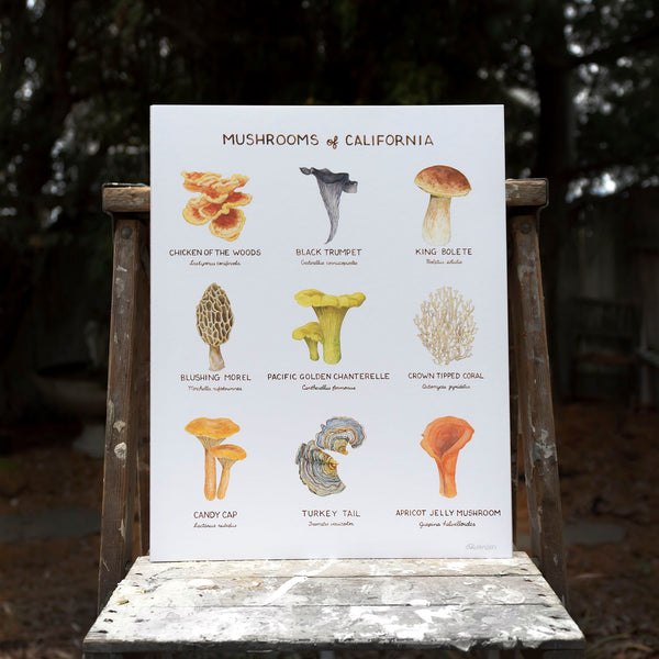 Mushrooms of California Art Print Yardia