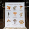 Mushrooms of the East Coast Art Print featuring hand-painted mushrooms with Latin and common names, displayed on a wooden surface. Frame not included.