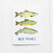 Best Fishes Card featuring watercolor illustrations of Pacific Northwest trout, perfect for fishing enthusiasts. Card measures 4.25 x 5.5 inches, blank inside.