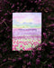 Birthday Tulips Card featuring a watercolor illustration of sunrise over Skagit Valley tulip fields, hand-lettered details, on recycled paper with a kraft envelope.