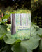 Love Grows Anniversary Card featuring a watercolor illustration of redwood trees and ferns, printed on recycled cardstock, blank inside, with a kraft envelope.