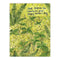 Thanks for Helping Me Grow Father's Day Card featuring hand-lettered text and watercolor fern illustration on recycled cardstock, blank inside, with kraft envelope.