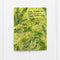 Thanks for Helping Me Grow Father's Day Card featuring watercolor ferns and hand-lettered text. Blank inside, includes kraft envelope, printed on recycled cardstock.