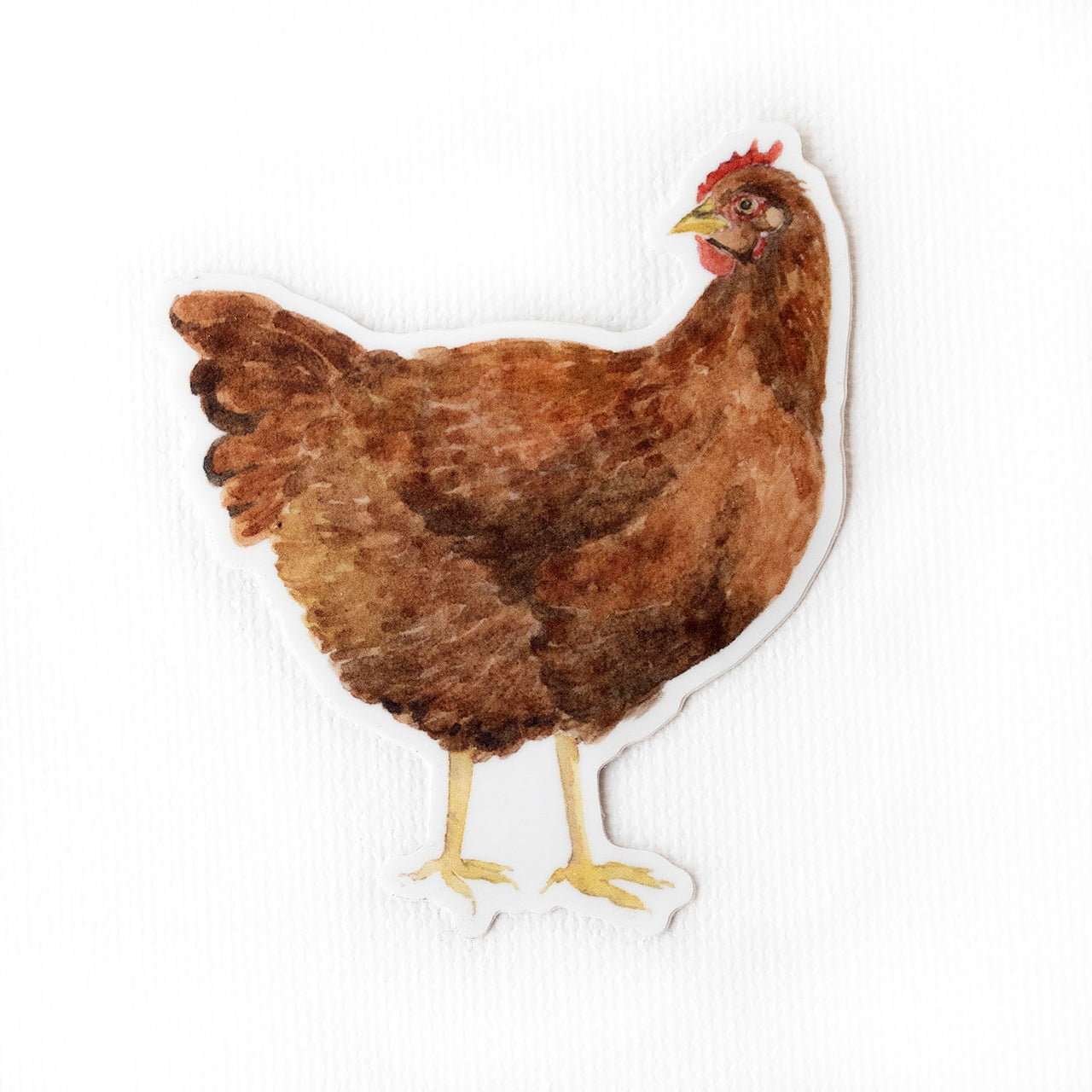 Chicken Sticker featuring a watercolor illustration of a Rhode Island Red chicken, ideal for laptops or water bottles. Weatherproof and dishwasher safe, 3 x 3.