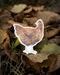 Vinyl sticker of a Rhode Island Red chicken, designed by Brigida Swanson. Ideal for decorating laptops or water bottles. Weatherproof and fade-resistant.