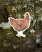 Chicken Sticker: Vinyl sticker of a Rhode Island Red chicken on a stick, designed by Brigida Swanson. Perfect for laptops or water bottles. Weatherproof and dishwasher safe.