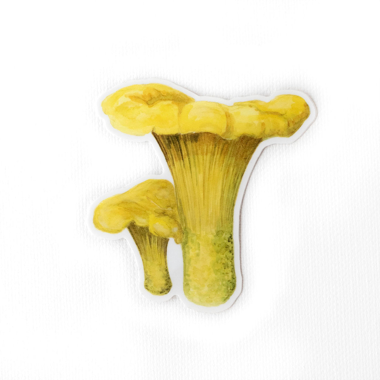 Golden Chanterelle Mushroom Sticker featuring Brigida Swanson's watercolor art, ideal for laptops or water bottles. Weatherproof and fade-resistant.