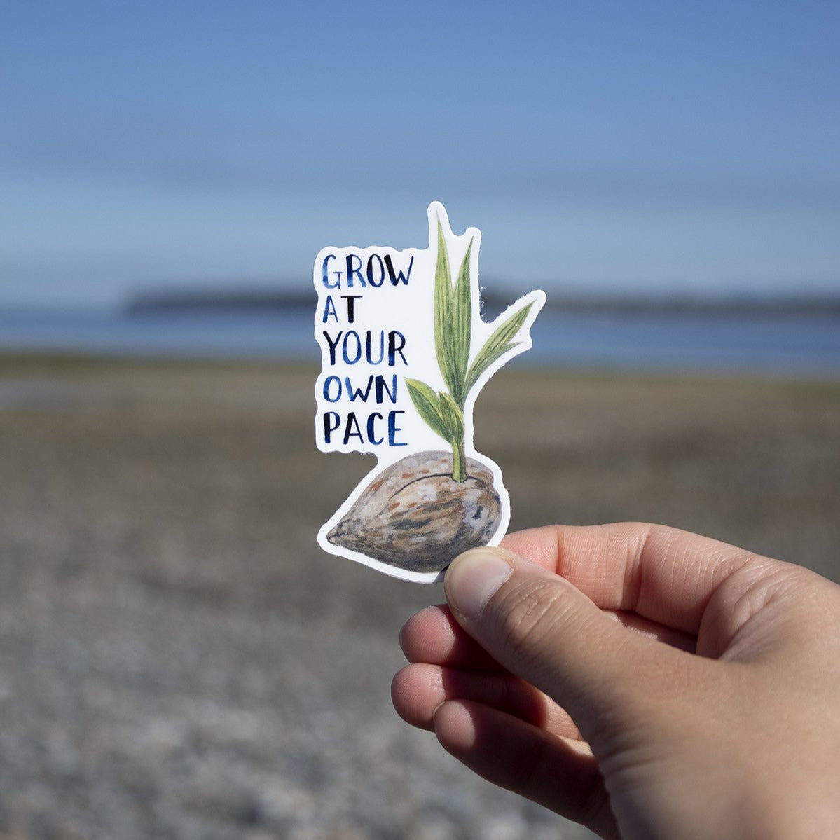 Hand holding the Grow At Your Own Pace Coconut Sticker, featuring a watercolor sprouting coconut with hand-lettered text, inspired by CHamoru heritage.