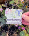 Hand holding a Nonbinary and Flourishing sticker, featuring a watercolor of rainbow-ordered wildflowers and hand-lettered text. Artwork by Brigida Swanson.
