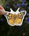 Hand holding West Coast Lady Butterfly - Watercolor Nature Sticker, featuring a detailed butterfly illustration, ideal for decorating laptops or water bottles.