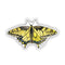 Oregon Swallowtail Butterfly - Watercolor Nature Sticker: A vinyl sticker featuring a watercolor illustration of an Oregon Swallowtail butterfly by artist Brigida Swanson.