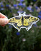 Hand holding an Oregon Swallowtail Butterfly - Watercolor Nature Sticker, showcasing a detailed butterfly illustration by artist Brigida Swanson.