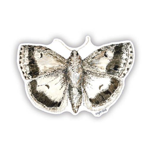 Moth - Watercolor Nature Sticker featuring a sepia, black and white moth illustration. Perfect for enhancing personal items like laptops or water bottles.