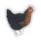 Watercolor illustration of a Black Sexlink hen, Magnolia, as a 3 x 3 sticker, perfect for decorating smooth surfaces. Weatherproof and made in the USA.