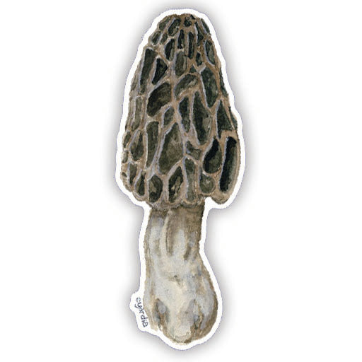 Close-up of a Morel Mushroom - Watercolor Mushroom Sticker by Brigida Swanson, showcasing intricate watercolor details. Ideal for laptops or water bottles.