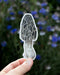 Hand holding a Morel Mushroom - Watercolor Mushroom Sticker, illustrating a morel mushroom. Perfect for personalizing laptops or water bottles.