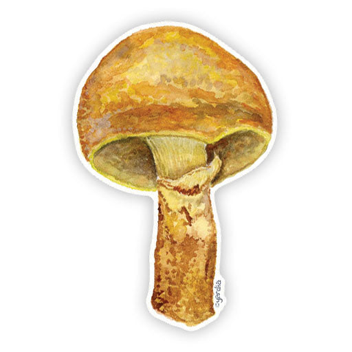Watercolor illustration of a larch bolete mushroom printed on a durable vinyl sticker, perfect for decorating laptops or water bottles.